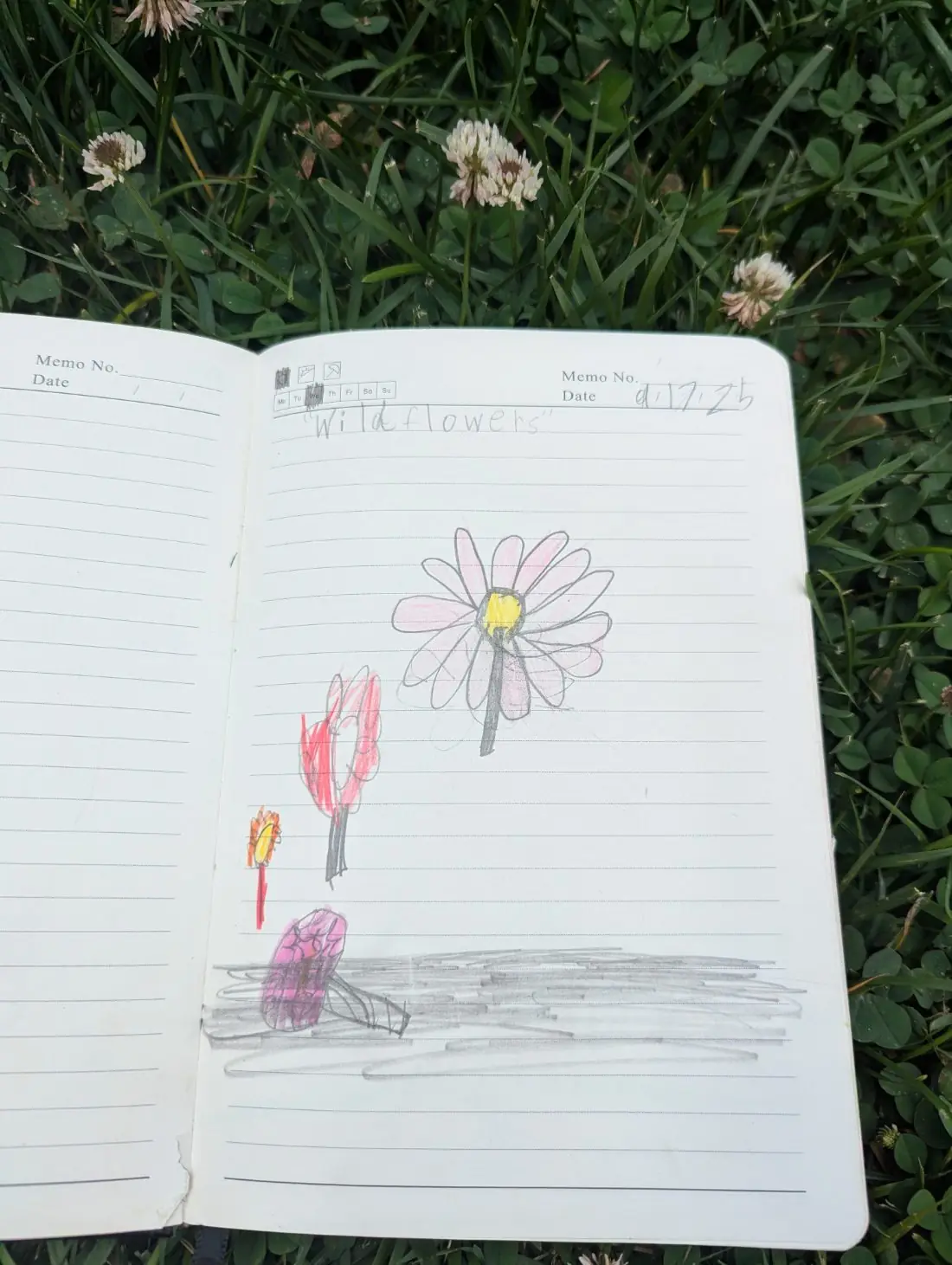 Student nature journal: Wildflowers · 1st Grade